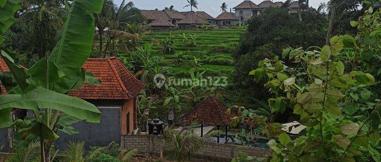 Tanah View Sawah Cantik Lingkungan Villa 1