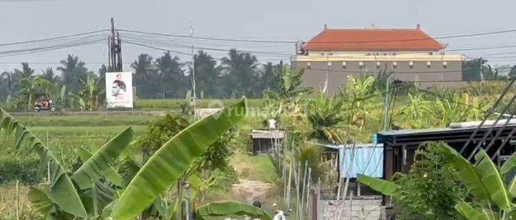 CHEAP PLOT LAND IN ABIANSEMAL BADUNG 1