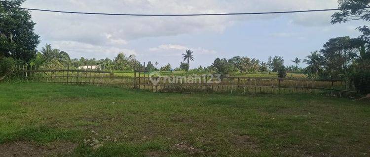 BEAUTIFUL LAND WITH RICE FIELD VIEW, MAIN ROAD, SUITABLE FOR VILLA IN KLUNGKUNG 1