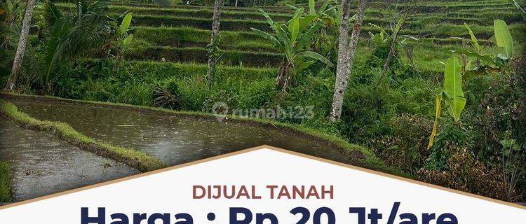 TANAH MURAH DI PENEBEL COCOK INVESTASI DAN VILLA 1