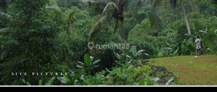 Tanah Dengan View Super Cantik Dan Tenang Di Ubud Area  1