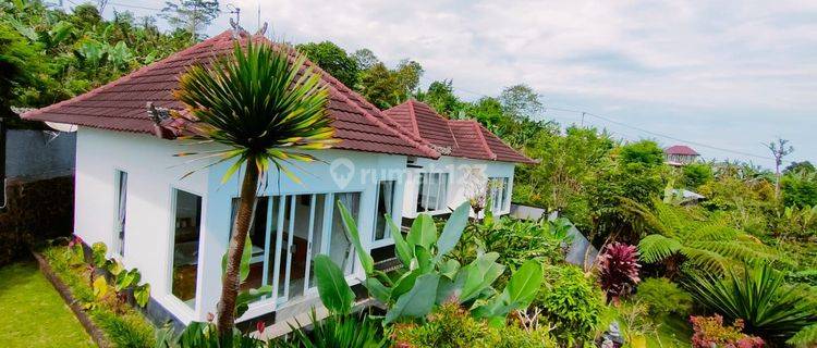 VILLA VIEW LEMBAH OCEAN VIEW PERBUKITAN MUNDUK SINGARAJA  1