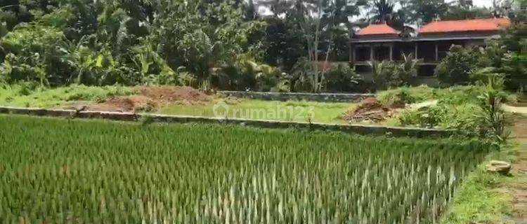 TANAH ASPEK PERUMAHAN PALING MURAH DI TIMUR UBUD  1