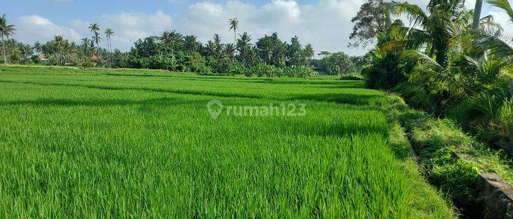 TANAH SEWA VIEW SAWAH CANTIK LINGKUNGAN RESORT 1