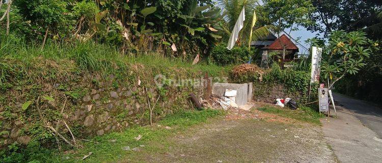 CHEAP LAND SUITABLE FOR VILLA RENTAL WITH BEAUTIFUL RICE VIEW VIEWS  1