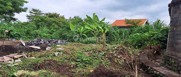 TANAH LOS SUNGAI LINGKUNGAN VILLA MEWAH SIAP BANGUN 1