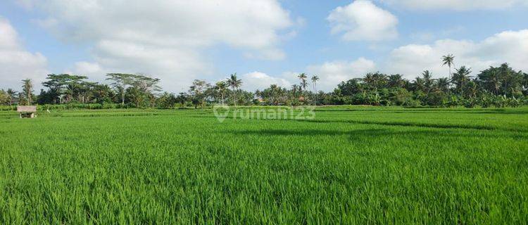 TANAH SEWA VIEW SAWAH SUPER CANTIK LINGKUNGAN RESORT 1