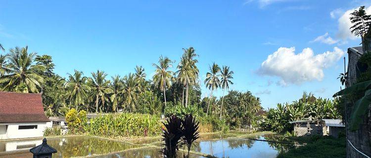 TANAH SEWA LOKASI BAGUS DI UBUD COCOK VILLA RENTAL 1