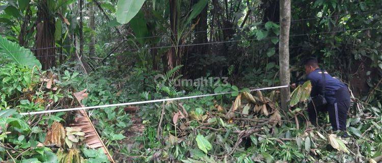 TANAH MURAH DEKAT PANTAI CANDI DASA COCOK VILLA 1