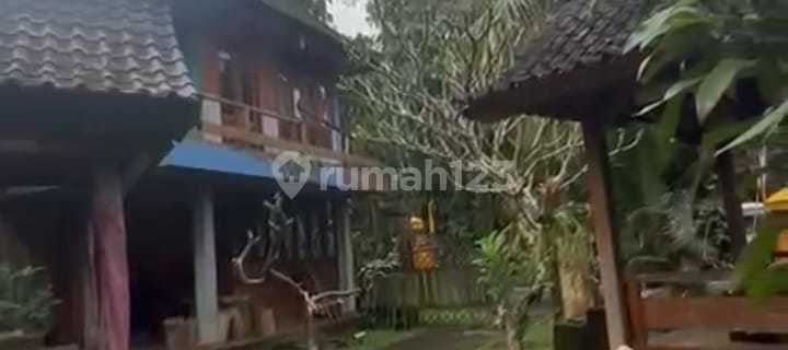 Rumah View Keren Harga Murah Di Penebel  1