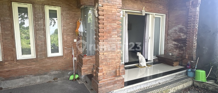 Rumah 4 Kmr View Sawah Dekat Dalung Puspem Badung 1
