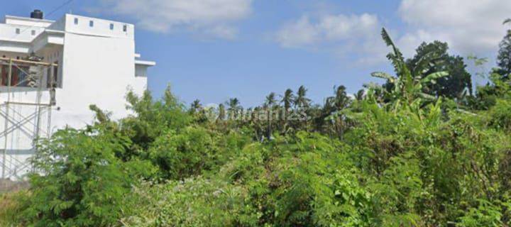 TANAH VIEW SAWAH COCOK VILLA RENTALS HARGA MURAH DEKAT PANTAI 1