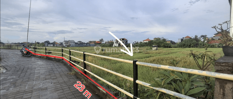 Tanah Sewa Super Murah Cocok Bisnis Rental Di Sukawati 1