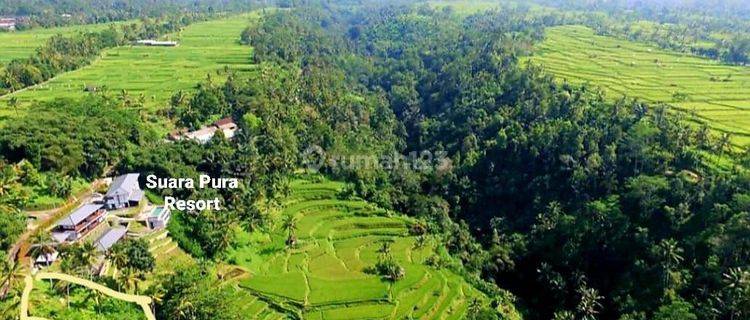 TANAH VIEW SAWAH TERASERING SEBELAH SUARA PURA RESORT