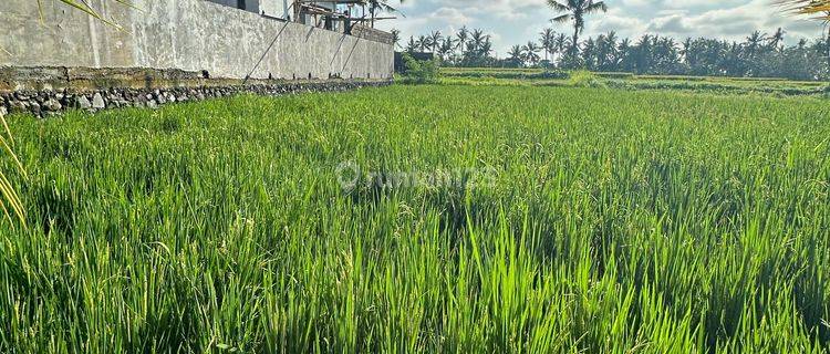 Tanah Zona Kuning View Sawah Lingkungan Villa Keren 1