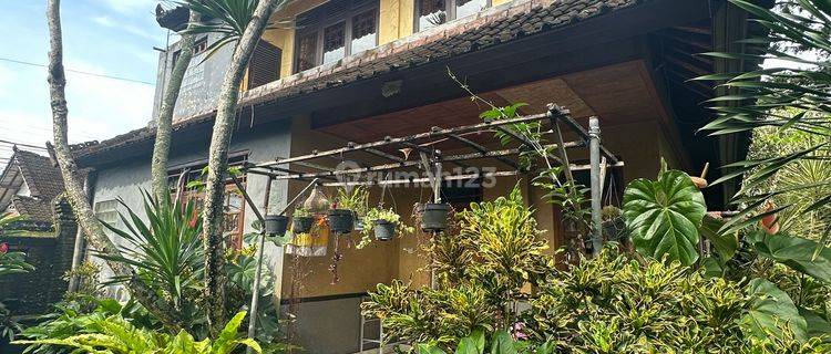 Villa Komplek Central Ubud 3 Kmar Harga Murah Siap Huni 1