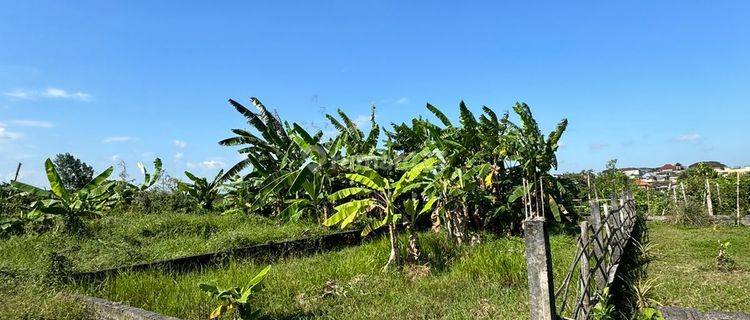 TANAH ZONA KUNING DI KEDIRI SIAP BANGUN HARGA MURAH 1