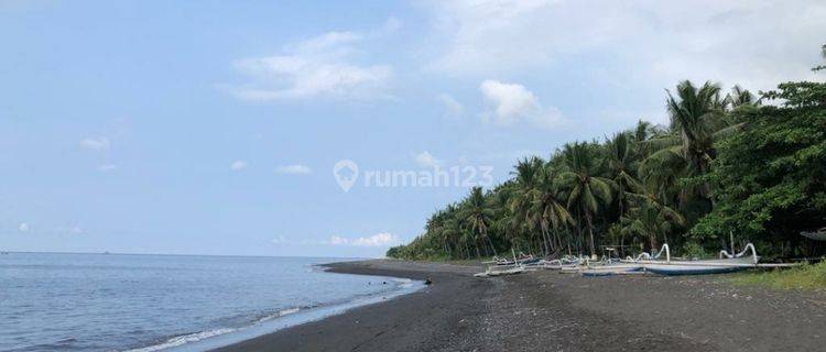 Sour coral. Bali. on land in TIANYAR
LOS PANTAI and location close to the main road 
Karang Asem
Bali 1