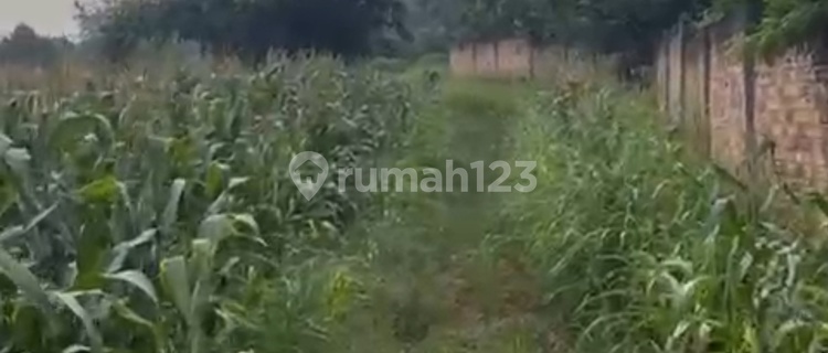 Jarang Ada.. Lokasi Bagus Dan Strategis. Turun Harga Dari 2jt Per Meter Jadi 1.7 Per Meter.posisi Ada Di Pinggir Jalan Lintas Sumatera, Lebar Akses Jalan Untuk 2 Arah Bisa Dilewati Truk Kontainer. Cocok Untuk Pabrik Air Minum Karena Ada Sumber Mata Air. C 1