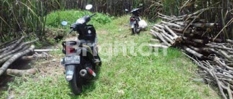 Tanah Luas Murah di Mangunrejo Kepanjen Malang  1
