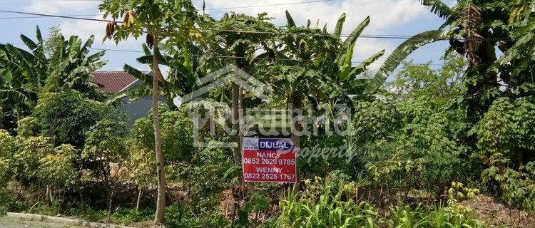 Tanah di Jl. Puri Anjasmoro, Semarang Wnnc1347 1