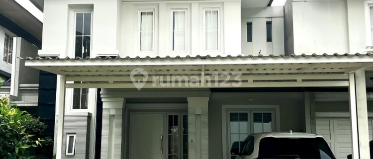 OLIVIA HOUSE 240 CHEAPEST 1