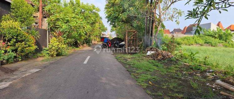 LAND NEAR THE MAIN ROAD OF TUKAD BALIAN RENON BALI 1