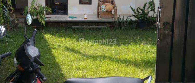 SPACIOUS HOUSE SANUR BALI 1