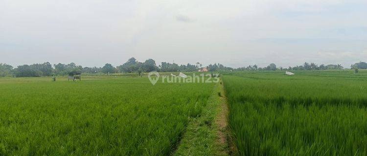 TANAH VIEW SAWAH KABA2 TABANAN BALI 1