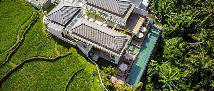 Luxurious 6 br Jungle Villa In Tegalalang, Bali  1