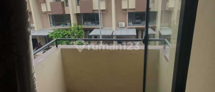 Cheapest Tabebuya Next to Great Rans Nusantara Center Bsd Near Aeon Mall Eastvara Toll Cimory Zoo Jawa Timur Park Luxury Cheapest Rarest 1