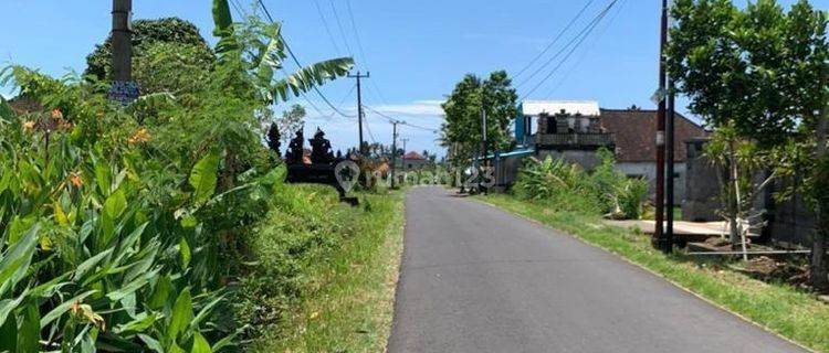 Tanah Premium Jalan Utama Dekat Pantai Cinta Kedungu 1