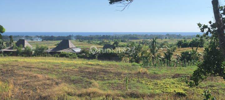 Tanah di Desa Tangguntiti Tabanan Bali SHM View Sawah Dan Laut 1