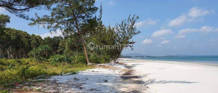 Tanah 20000 m² SHM Belitung Pinggir Pantai 1