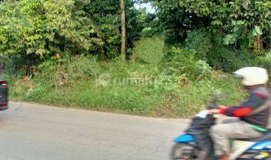 Tanah sewa di ciakar pagedangan 1