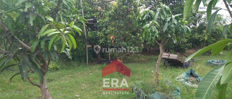 Dijual Tanah di Pinggir Jalan Bengle Karawang 1
