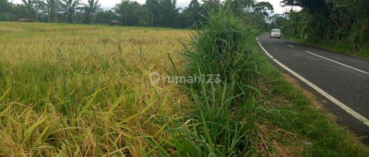 Dijual Tanah Sawah Di Daerah Palembang 1