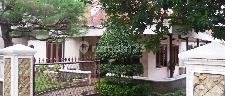 Rumah Bagus Berhalaman Luas SHM. Bisa dikonversi juga utk Mart dan Residential Area. Harga Termurah n BU 1