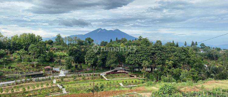 Tanah dijual jalan alternatif puncak bogor 1