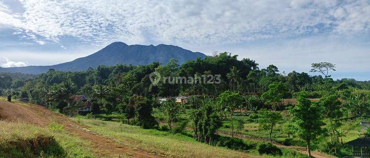 Tanah berada di lokasi kawasan wisata Puncak Bogor  1