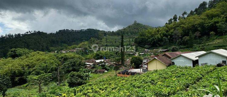 Tanah Poros Jalan Dengan Sumber Mata Air Melimpah di Kota Batu 1