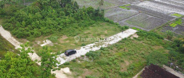 Legalitas SHM Tanah Dekat Desa Wisata Kasongan  1