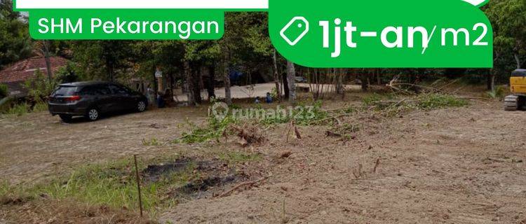 Tanah Bumirejo Dekat Samasat Mungkid 1jt An  1