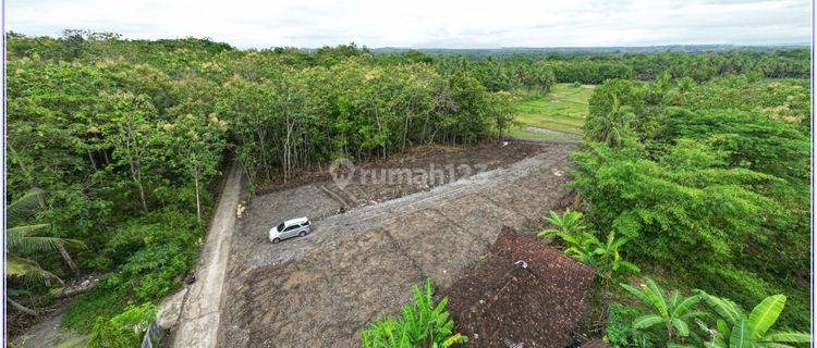 Tanah Sentolo Dekat RS. Queen Lathifa Legalitas SHM	 1