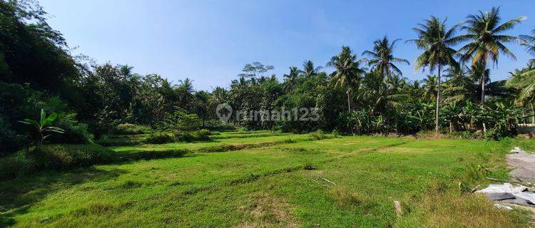 Kavling Tanah Murah di Nanggulan Kulon Progo, Dekat Sat Briop 1