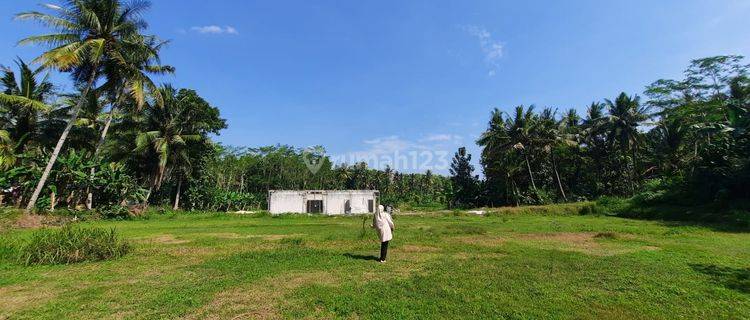 Tanah Kavling di Nanggulan Kulon Progo, Dekat RS Nyi Ageng	 1