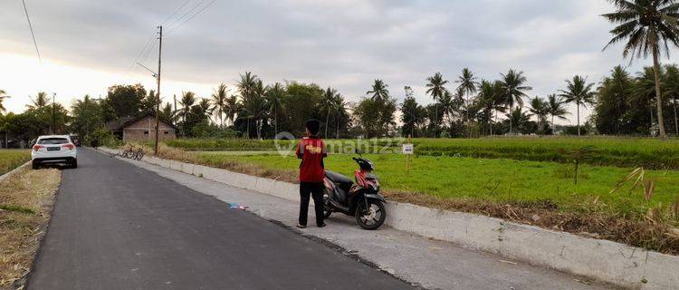 Tanah Dekat Candi Borobudur, Untuk Homestay 1