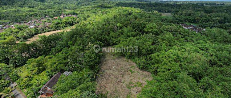 Tanah 2 Menit Jalan Magelang – Purworejo, Legalitas Aman 1