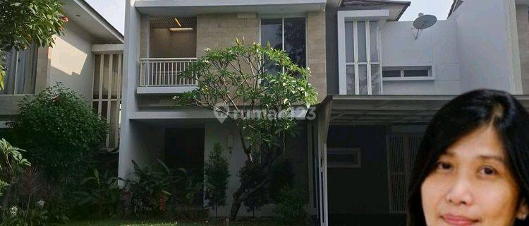 Rmh Murah Puribotanical 288m2 7.85m Jual Cepat 1