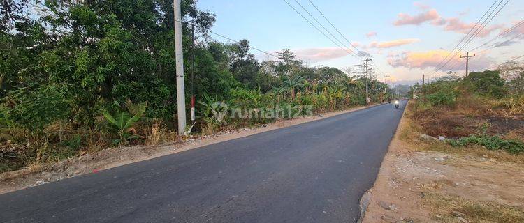 Tanah SHM luas 1.6Ha Moncongloe, pinggir jalan, cocok untuk Perumahan 1